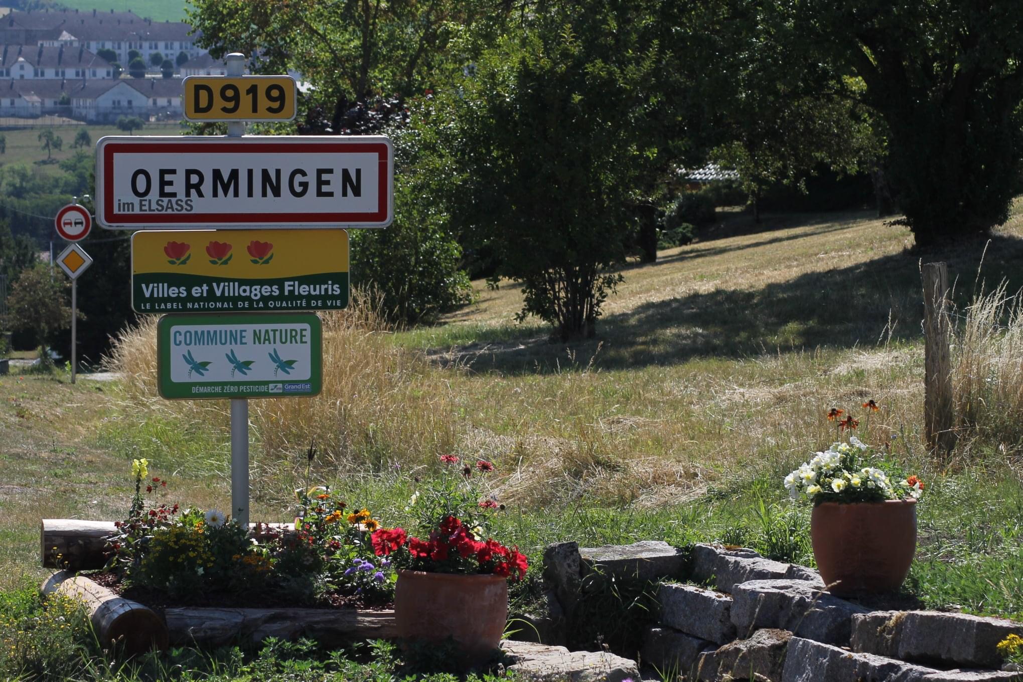 Une nouvelle Forêt Sanctuaire en devenir à Oermingen (67)