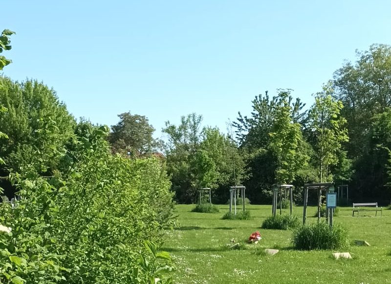 Schiltigheim, avril 2025