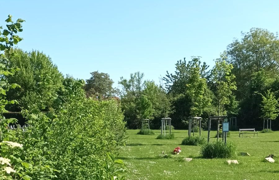 Schiltigheim, avril 2025