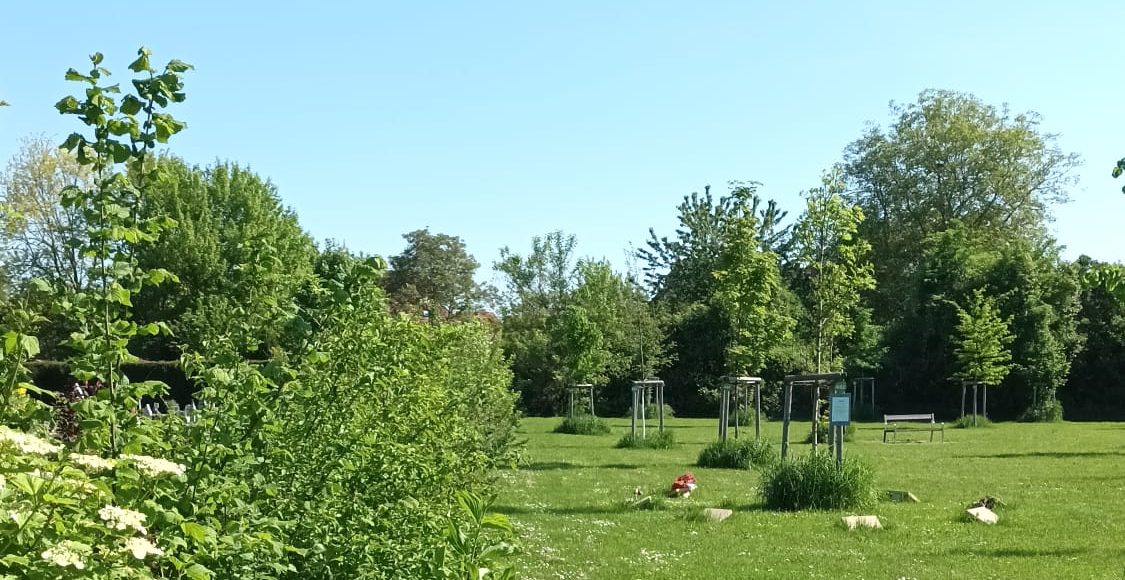 La forêt sanctuaire mise à l’honneur dans Schilick Infos