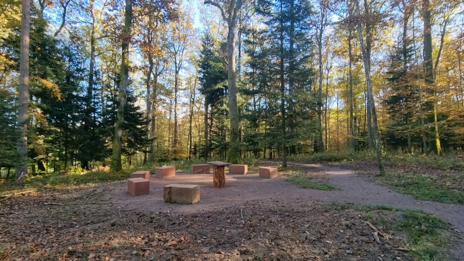 À Sommerau, la forêt cinéraire séduit par sa simplicité et son lien au vivant