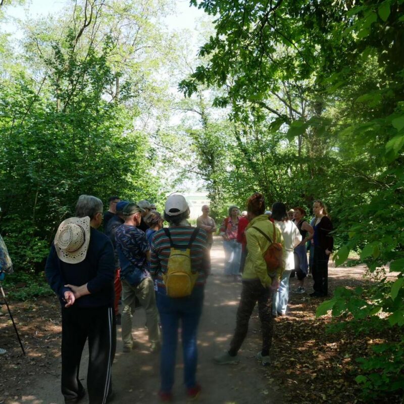 Forêt de Dorlisheim, mai 2026