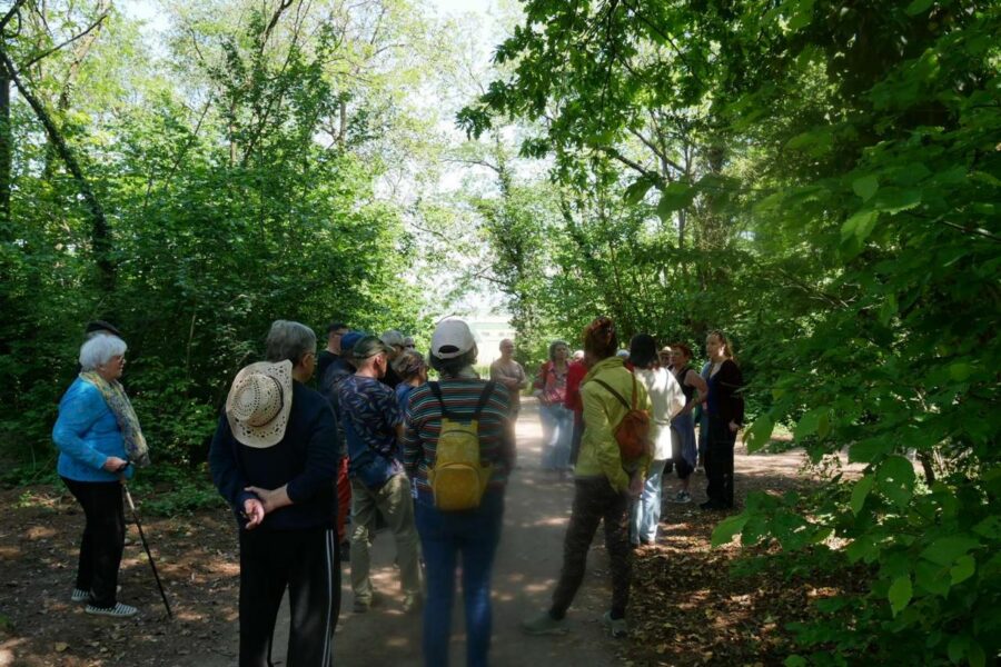 Forêt de Dorlisheim, mai 2026
