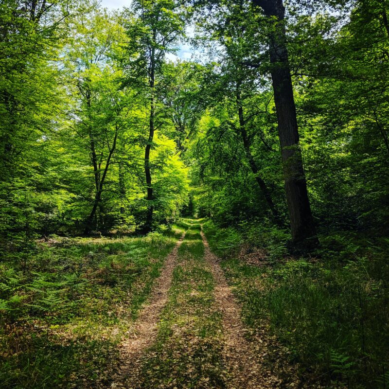 Photo de Alana Harrissur Unsplash